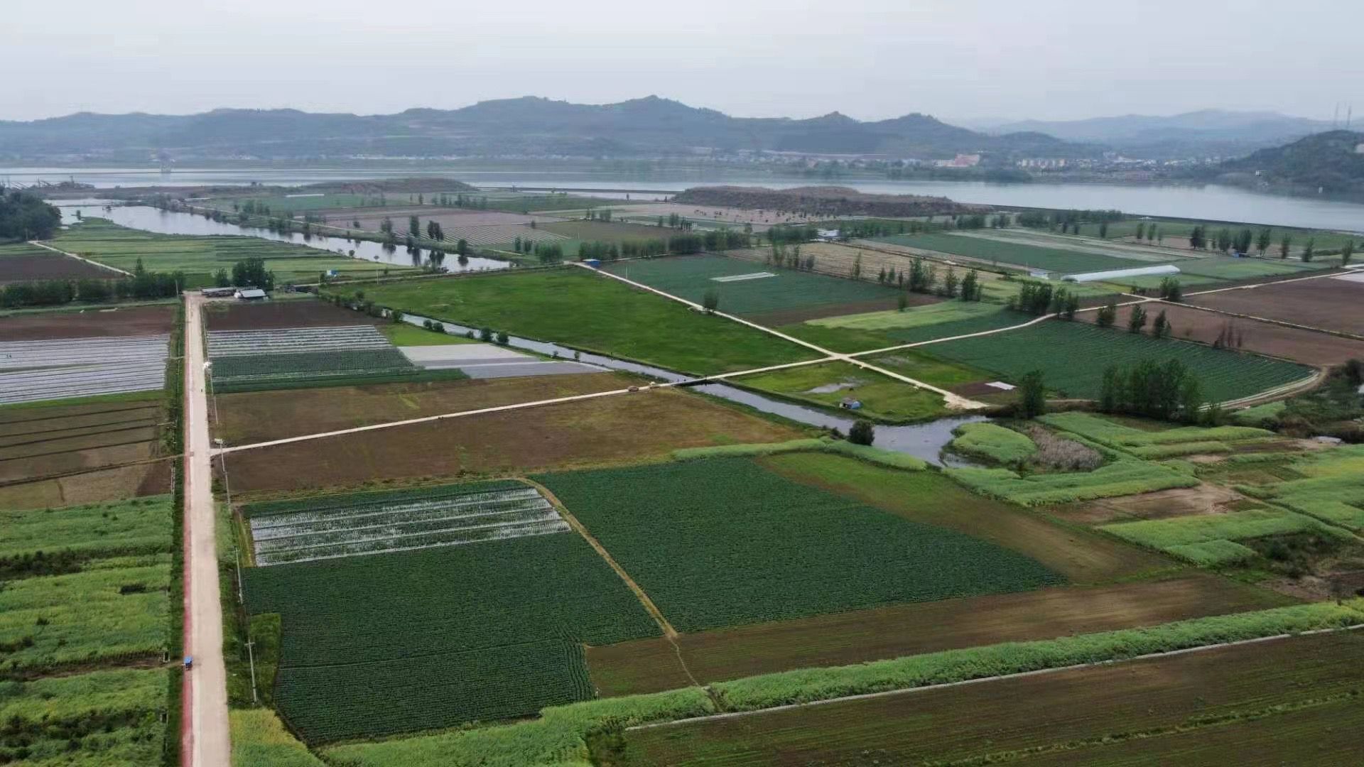 南充顺庆区万亩滨江蔬菜现代农业园区规划全面启动