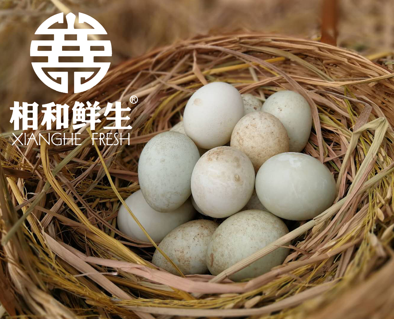 【广东扶贫商品】广西龙州县 青皮土鸭蛋 30个