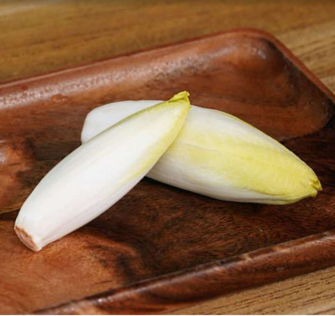 丰宁菊苣菜 